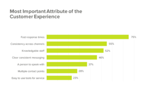 Customer Experience Attribute